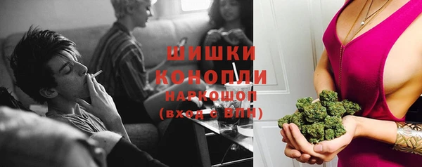 spice Аркадак