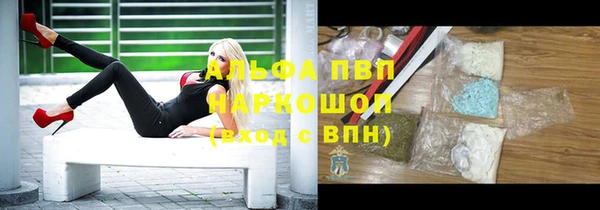 spice Аркадак