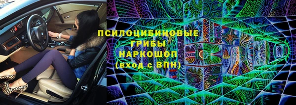 spice Аркадак